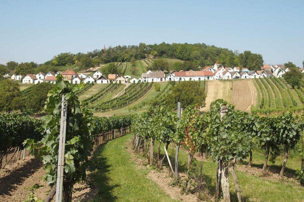 Gaestehaus Weinviertel - Niederoesterreich Siebenhirten المظهر الخارجي الصورة
